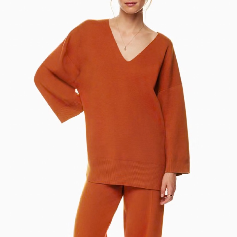 NWT Aritzia Wilfred Oversized Sweater Large